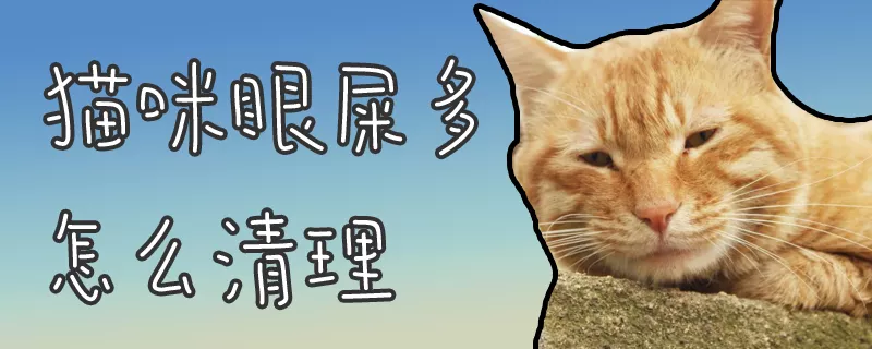 猫咪眼屎多怎么清理