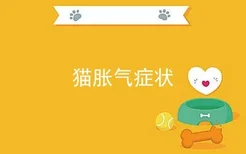 猫胀气症状