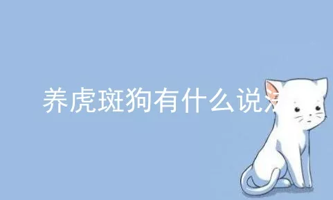 养虎斑狗有什么说法