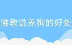 佛教说养狗的好处