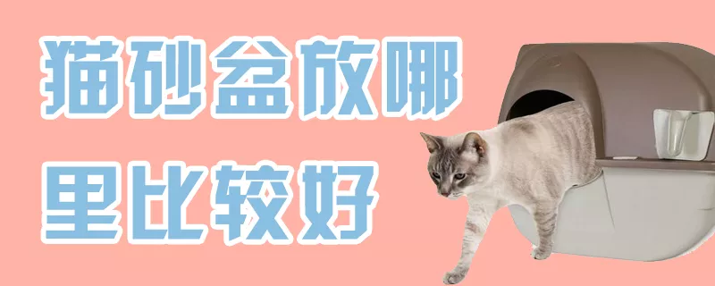 猫砂盆放哪里比较好