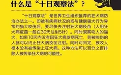 狗咬了多久过安全期没有打针 十日观察法有效吗