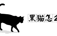 黑猫怎么养