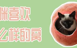 猫咪喜欢什么样的窝