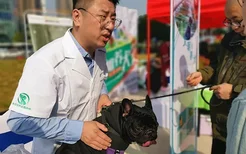 长沙科学预防狂犬病，一群宠物狗领到“电子身份证”