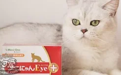 猫吃赖氨酸的好处 猫咪一天该吃多少？