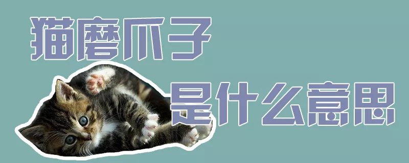 猫磨爪子是什么意思