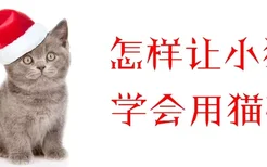 怎样让小猫学会用猫砂