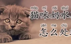 猫咪奶水不够怎么处理