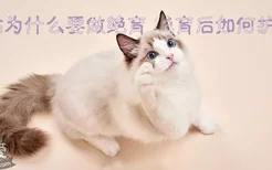 猫为什么要做绝育 绝育后如何护理