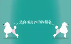 适合楼房养的狗排名