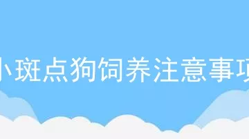 小斑点狗饲养注意事项