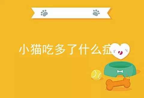 小猫吃多了什么症状