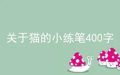 关于猫的小练笔400字