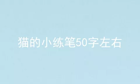 猫的小练笔50字左右