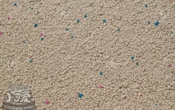 哪种类型的猫砂比较好用 垃圾分类后重新认识猫砂