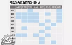 狗狗驱虫药怎么吃 狗狗驱虫那些事儿