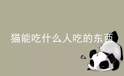 猫能吃什么人吃的东西