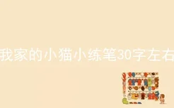 我家的小猫小练笔30字左右