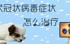 犬冠状病毒症状怎么治疗