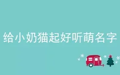 给小奶猫起好听萌名字