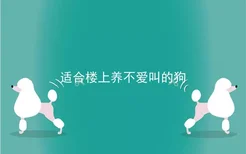 适合楼上养不爱叫的狗