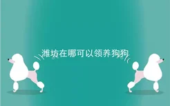 潍坊在哪可以领养狗狗