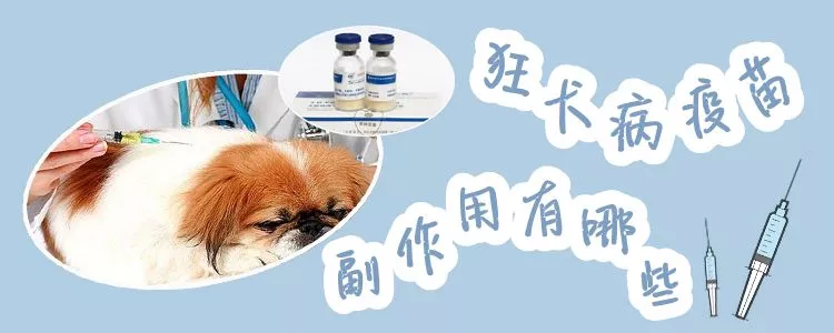 狂犬病疫苗副作用有哪些