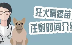 狂犬病疫苗注射时间介绍