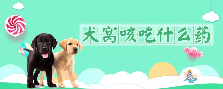 犬窝咳吃什么药