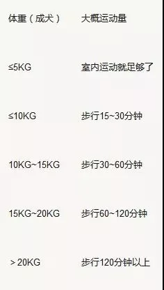 狗狗每天要遛多久 遛狗其实跟体重很有关系！