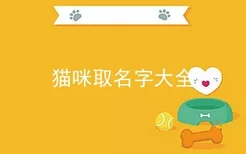 猫咪取名字大全