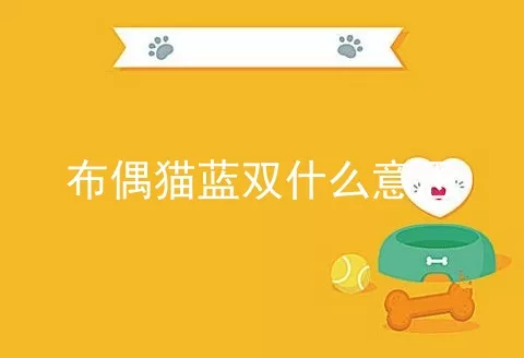 布偶猫蓝双什么意思