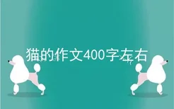 猫的作文400字左右