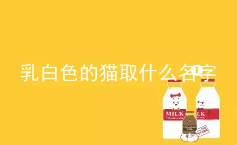 乳白色的猫取什么名字