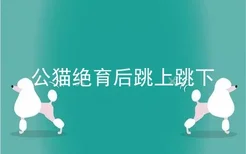 公猫绝育后跳上跳下