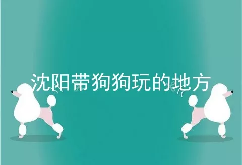 沈阳带狗狗玩的地方