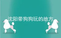 沈阳带狗狗玩的地方