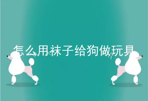 怎么用袜子给狗做玩具