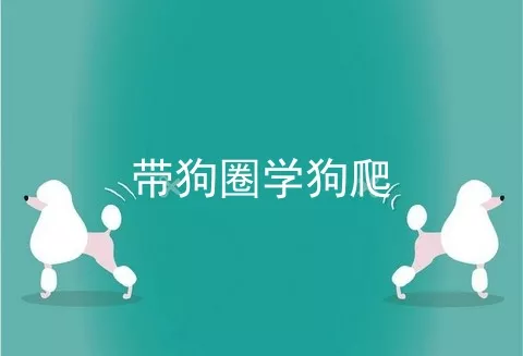 带狗圈学狗爬