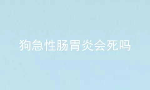 狗急性肠胃炎会死吗