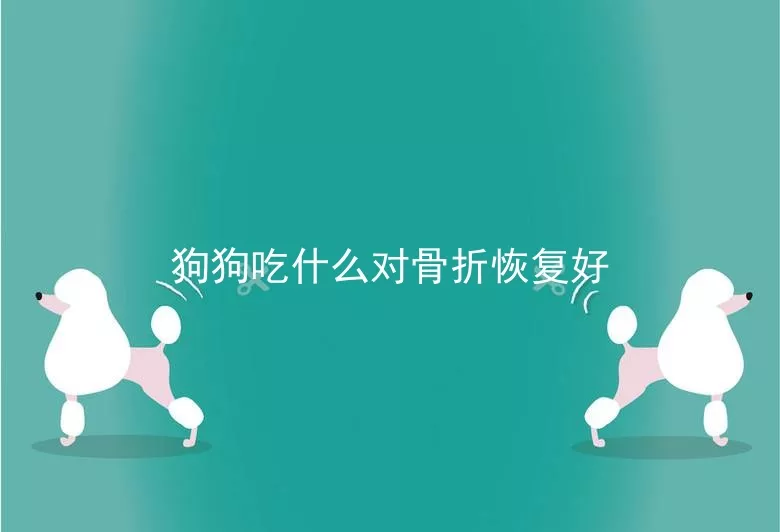 狗狗吃什么对骨折恢复好