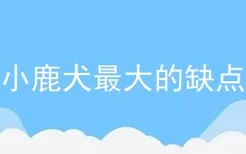 小鹿犬最大的缺点