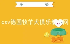 csv德国牧羊犬俱乐部官网