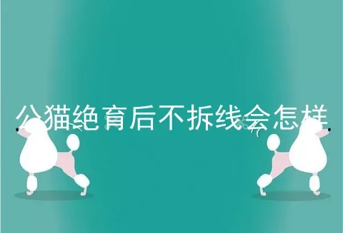 公猫绝育后不拆线会怎样