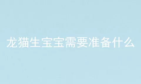 龙猫生宝宝需要准备什么