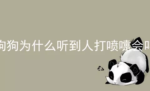 狗狗为什么听到人打喷嚏会叫