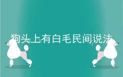 狗头上有白毛民间说法