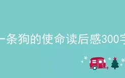 一条狗的使命读后感300字