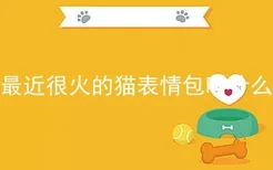 最近很火的猫表情包叫什么